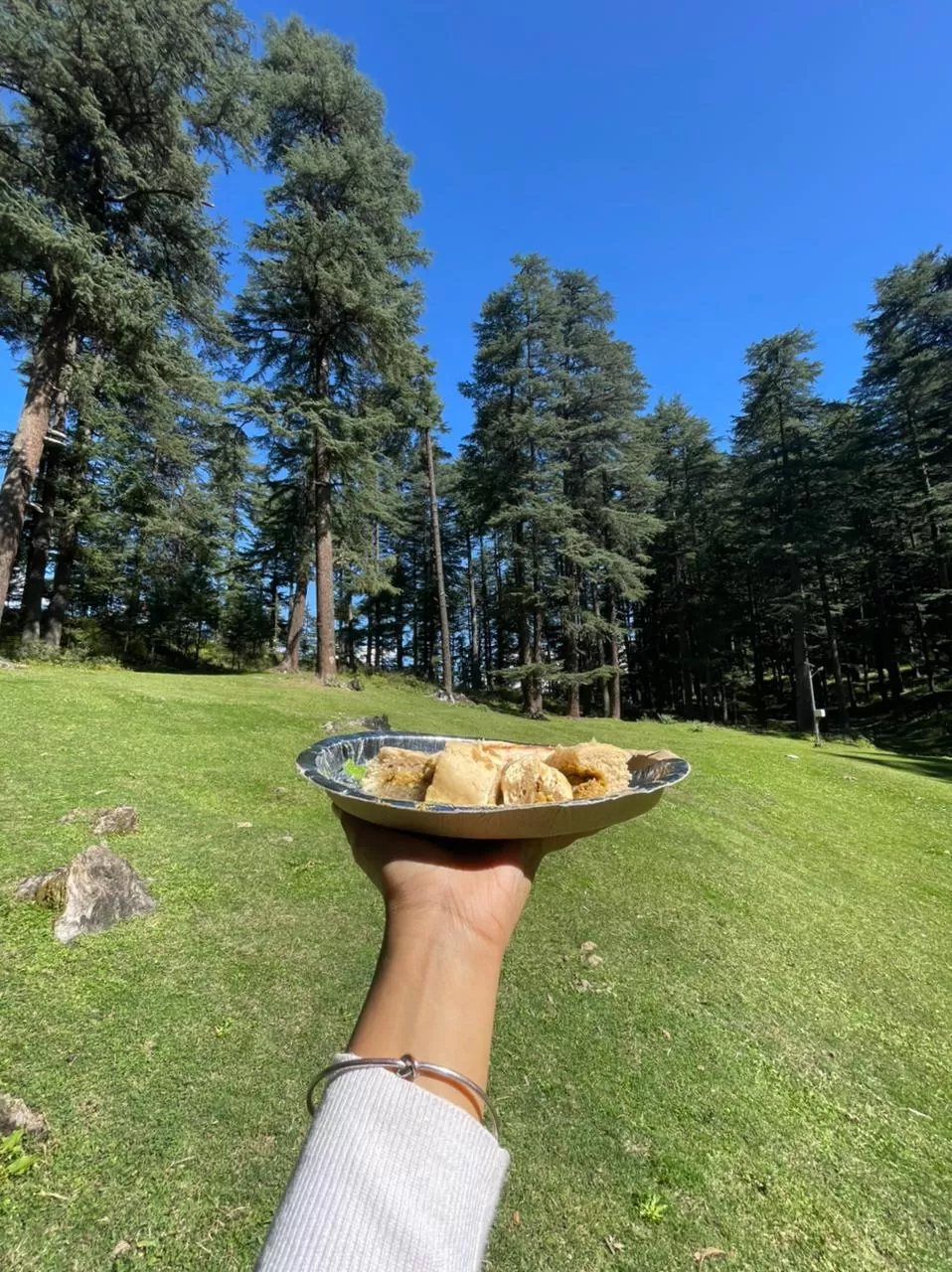 Photo of Jibhi By Prakriti Singh