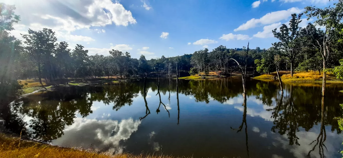 Photo of Pench National Park By Manasvi Dhagat
