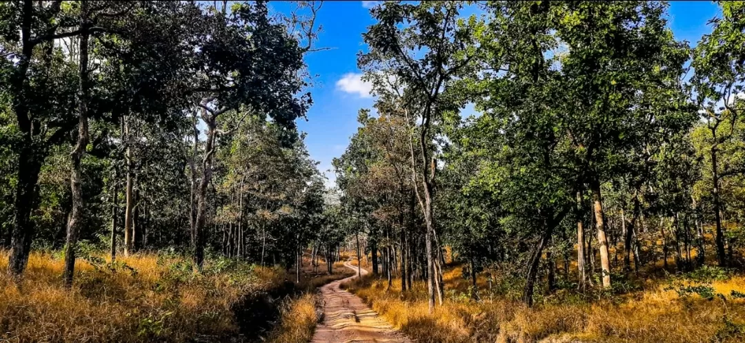 Photo of Pench National Park By Manasvi Dhagat