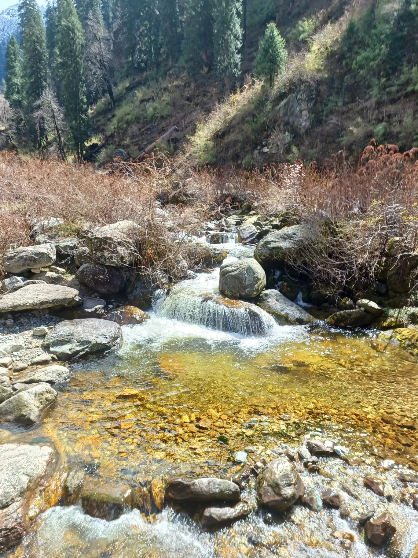 Photo of Falachan velly By Narender Thakur