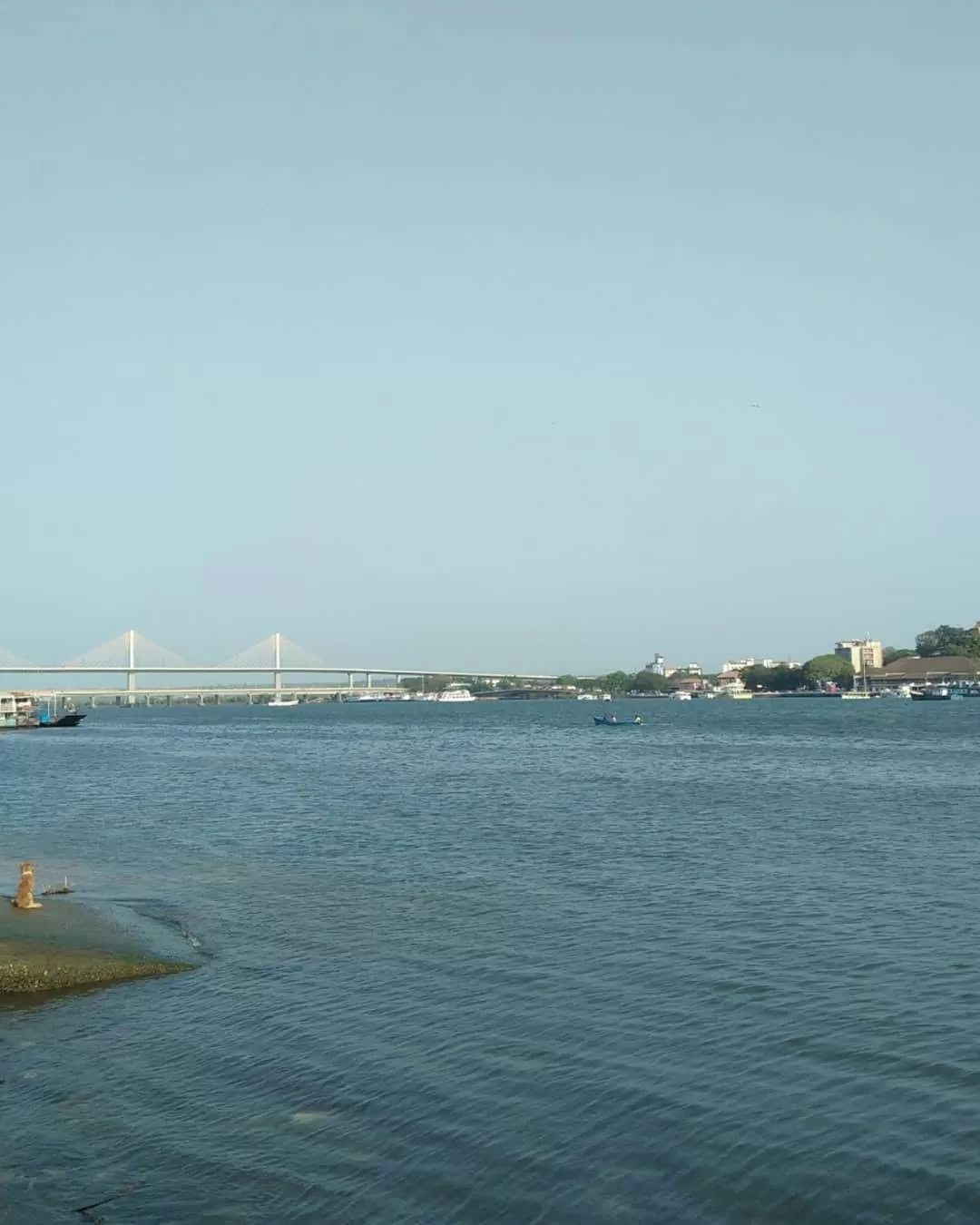 Photo of Goa By Samulina