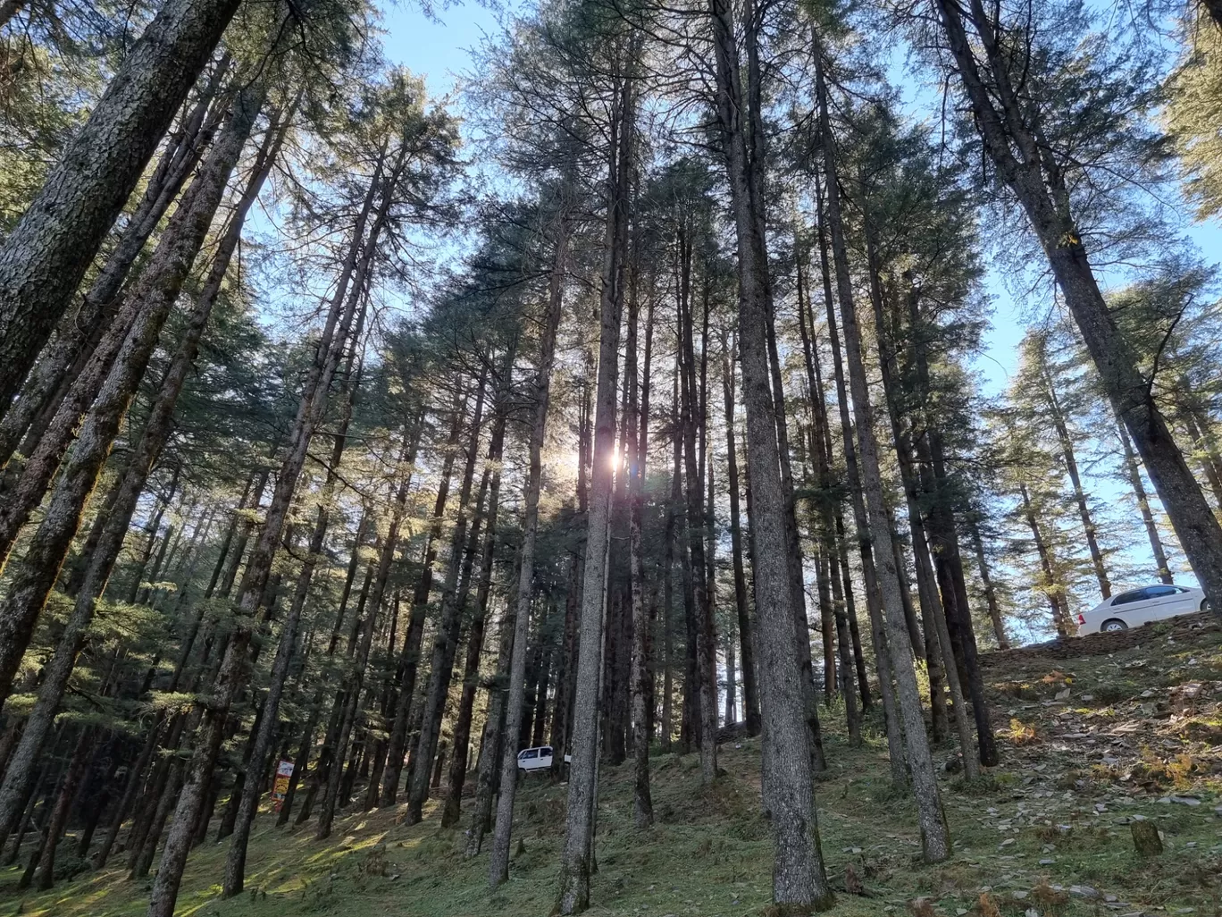 Photo of Shimla By Sameen Ghadge