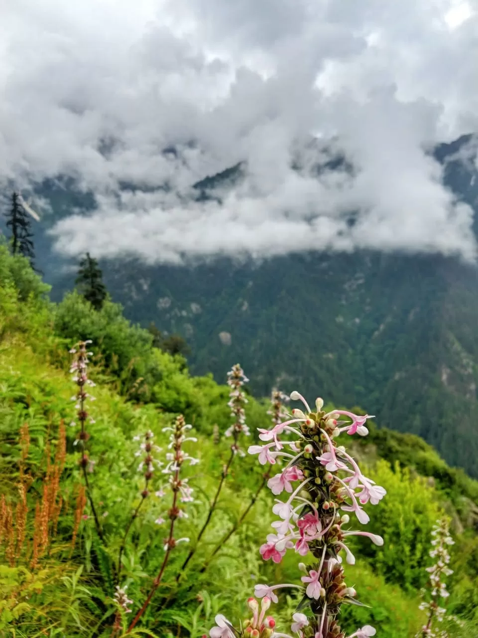 Photo of Shrikhand Mahadev By Karansingh Rawat - Indian Pathika