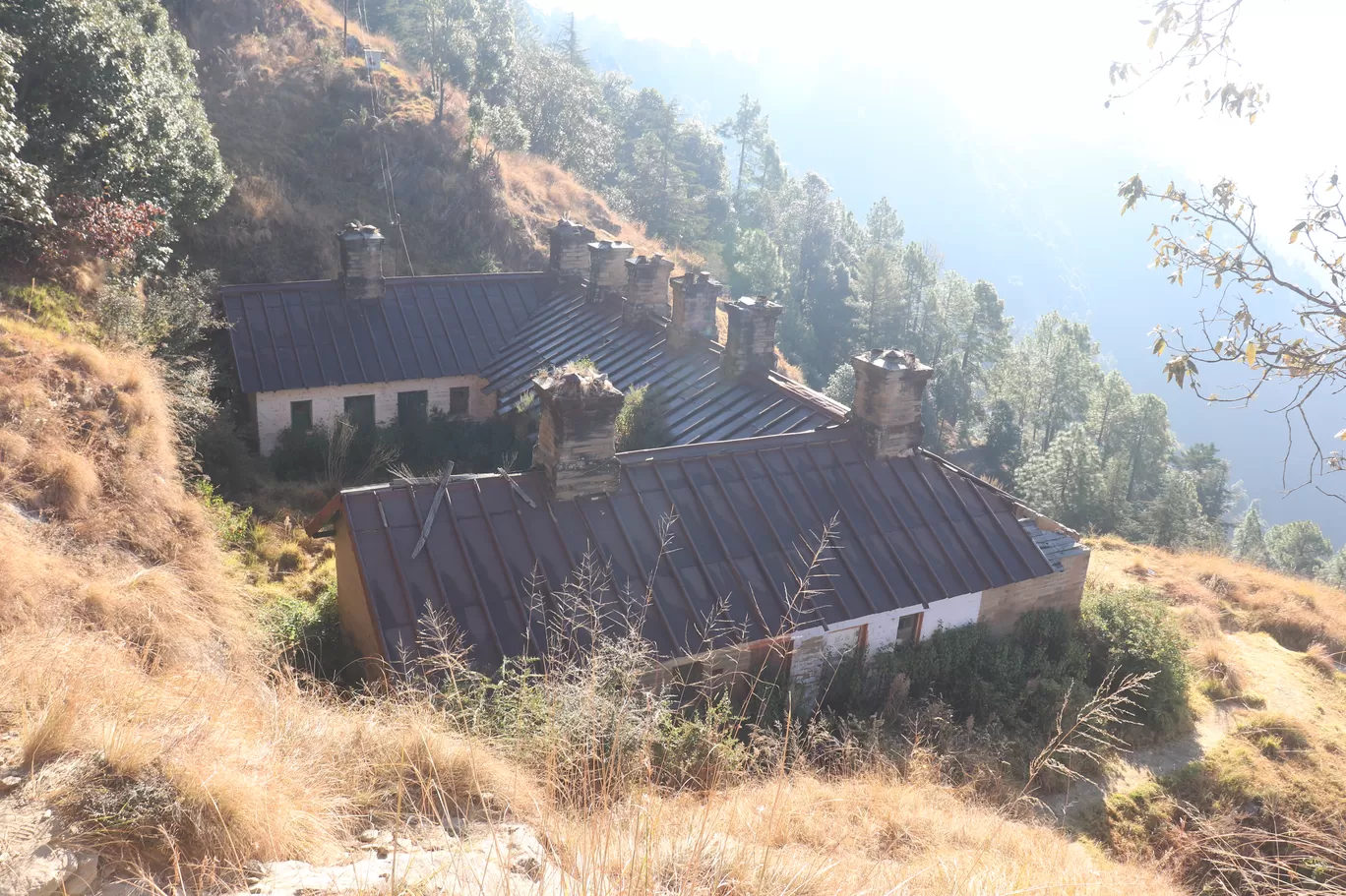 Photo of Mukteshwar By Sharad Kumar Tripathi