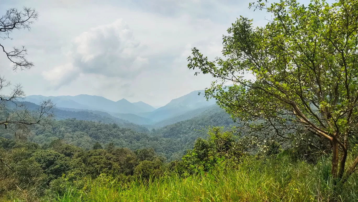 Photo of Sakleshpur By Landwood T