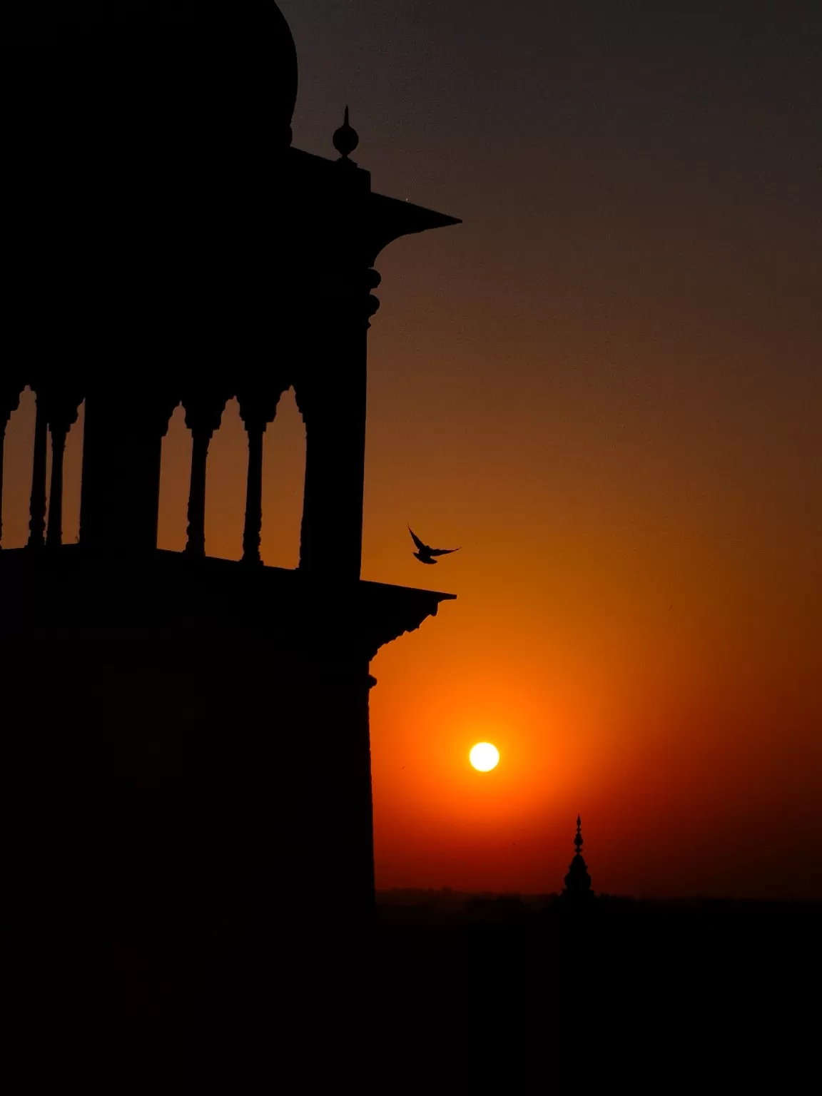 Photo of Raza Library By Jaya Dwivedie