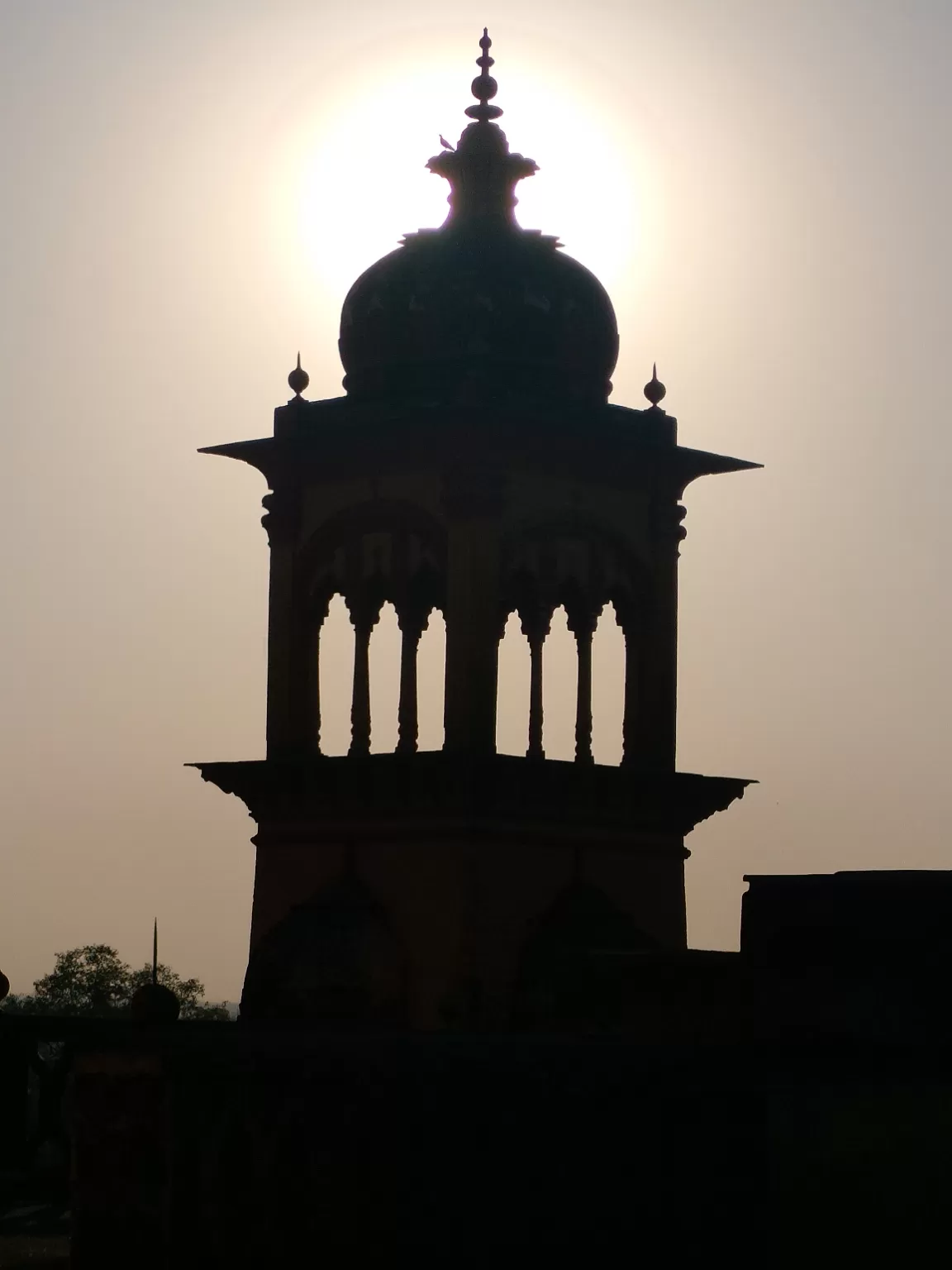 Photo of Raza Library By Jaya Dwivedie