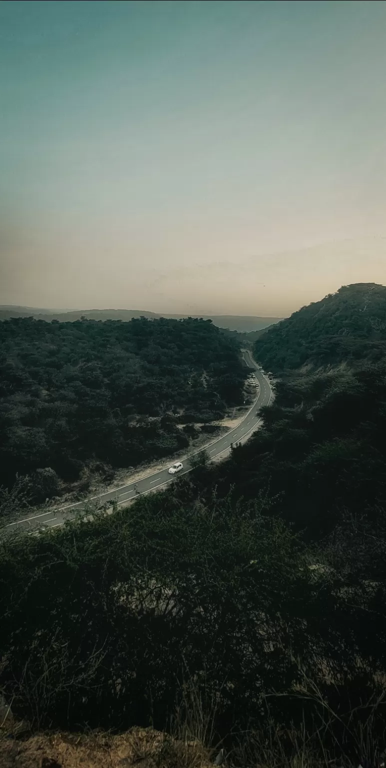 Photo of Leopard Hills By Gourav Thakur