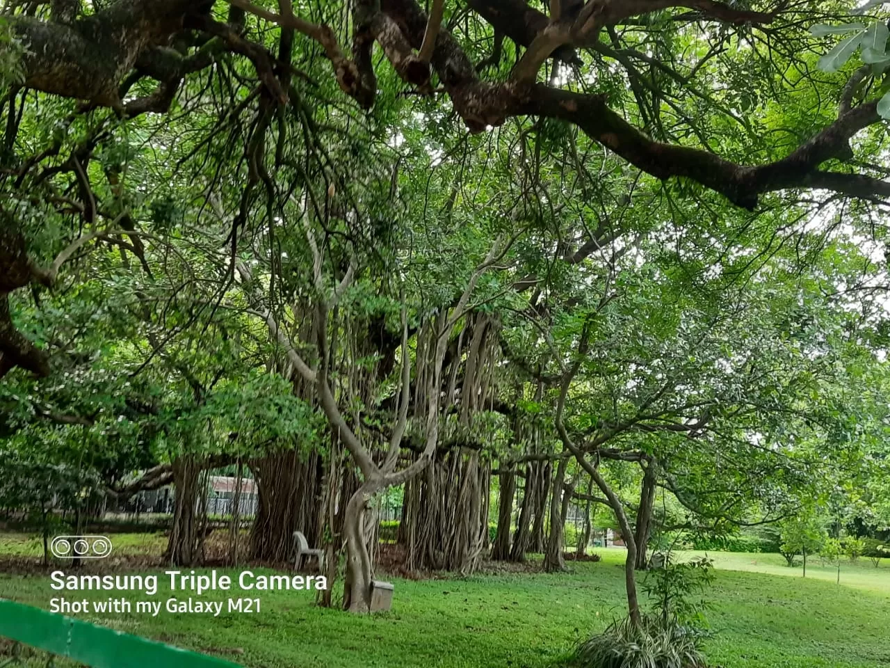 Photo of Shantiniketan By Ayan deb