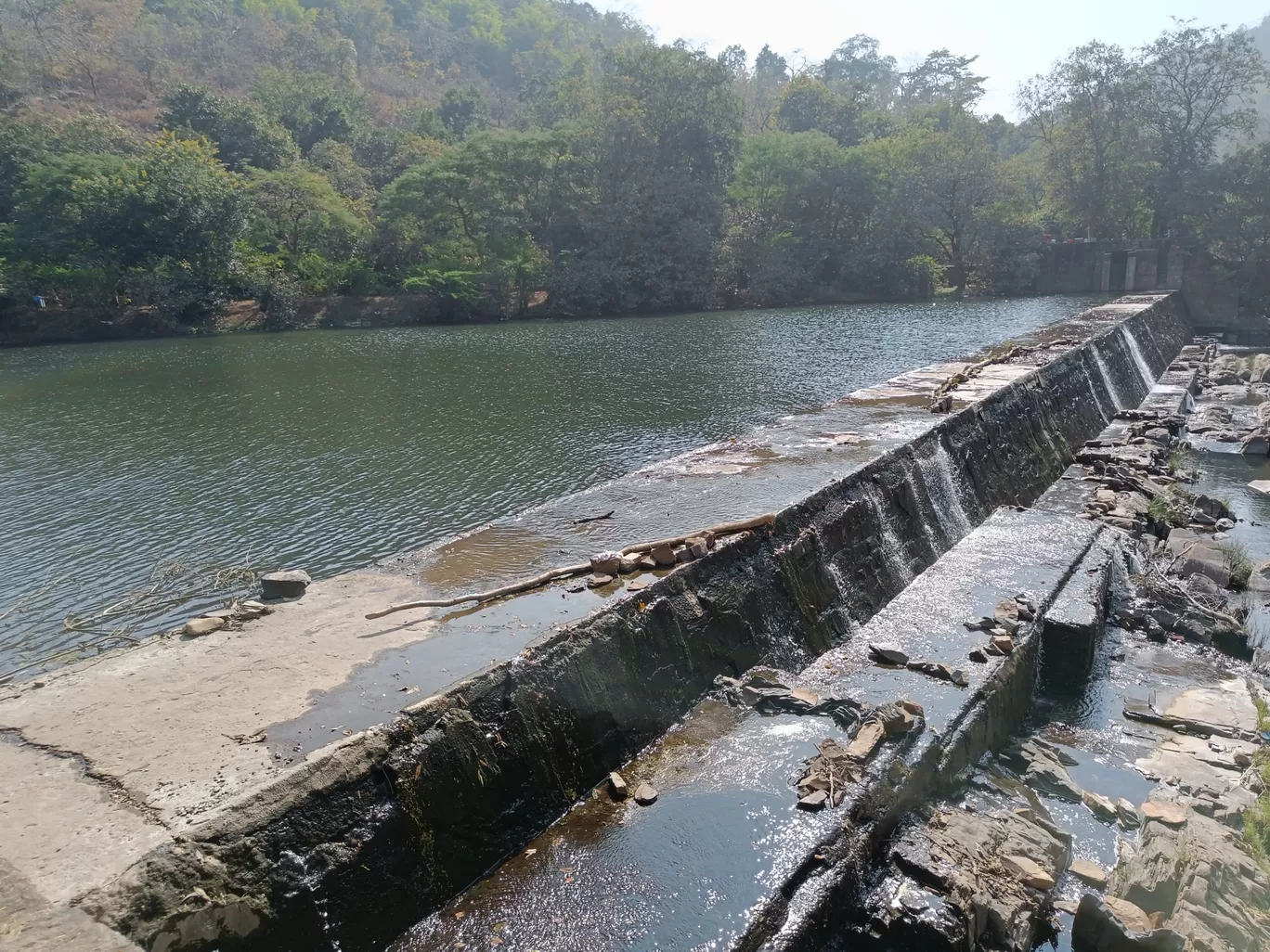 Photo of Polo Forest Vijayanagar By Shrikrushna .khogare