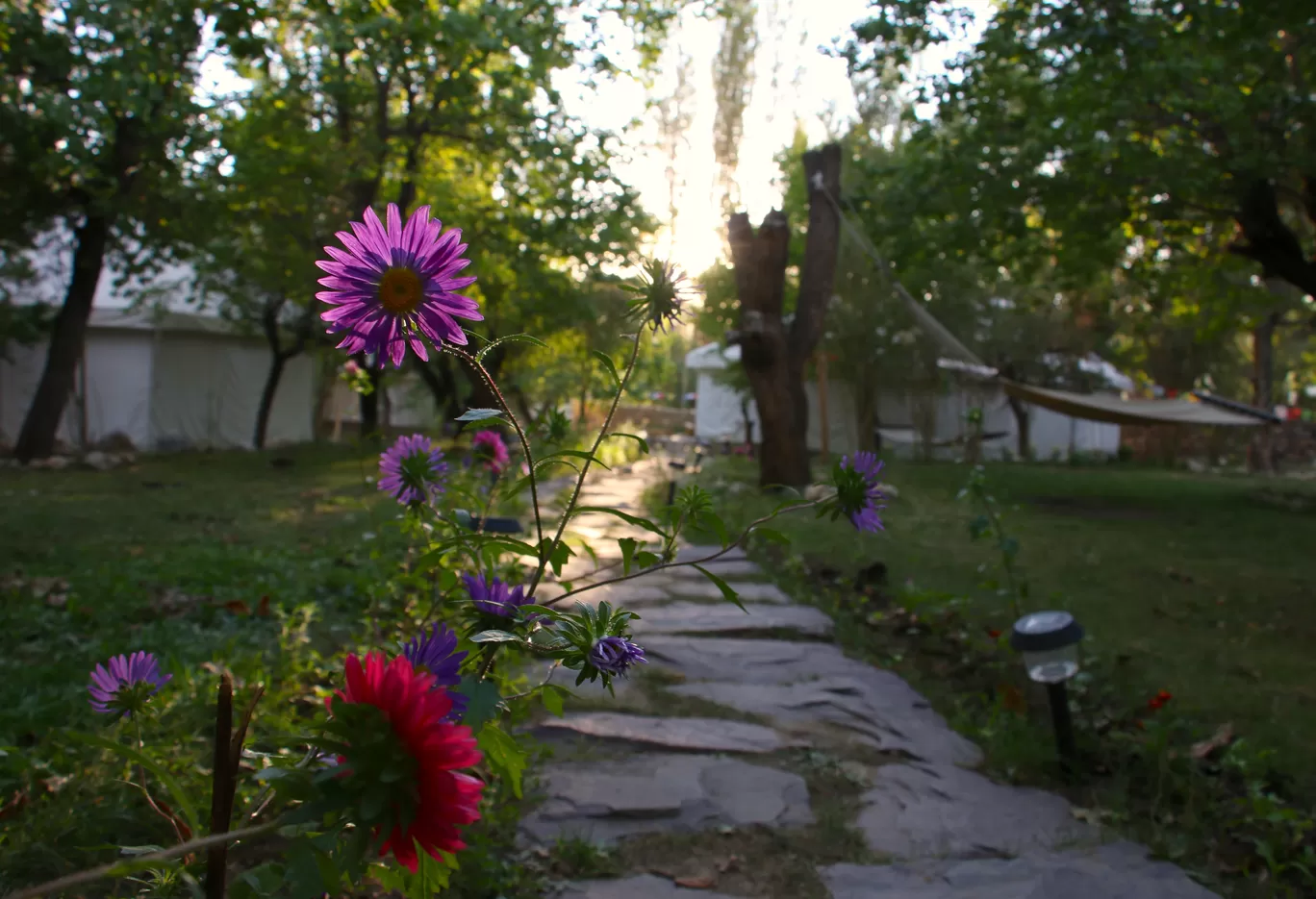 Photo of Nimmu House Ladakh By Vishal V