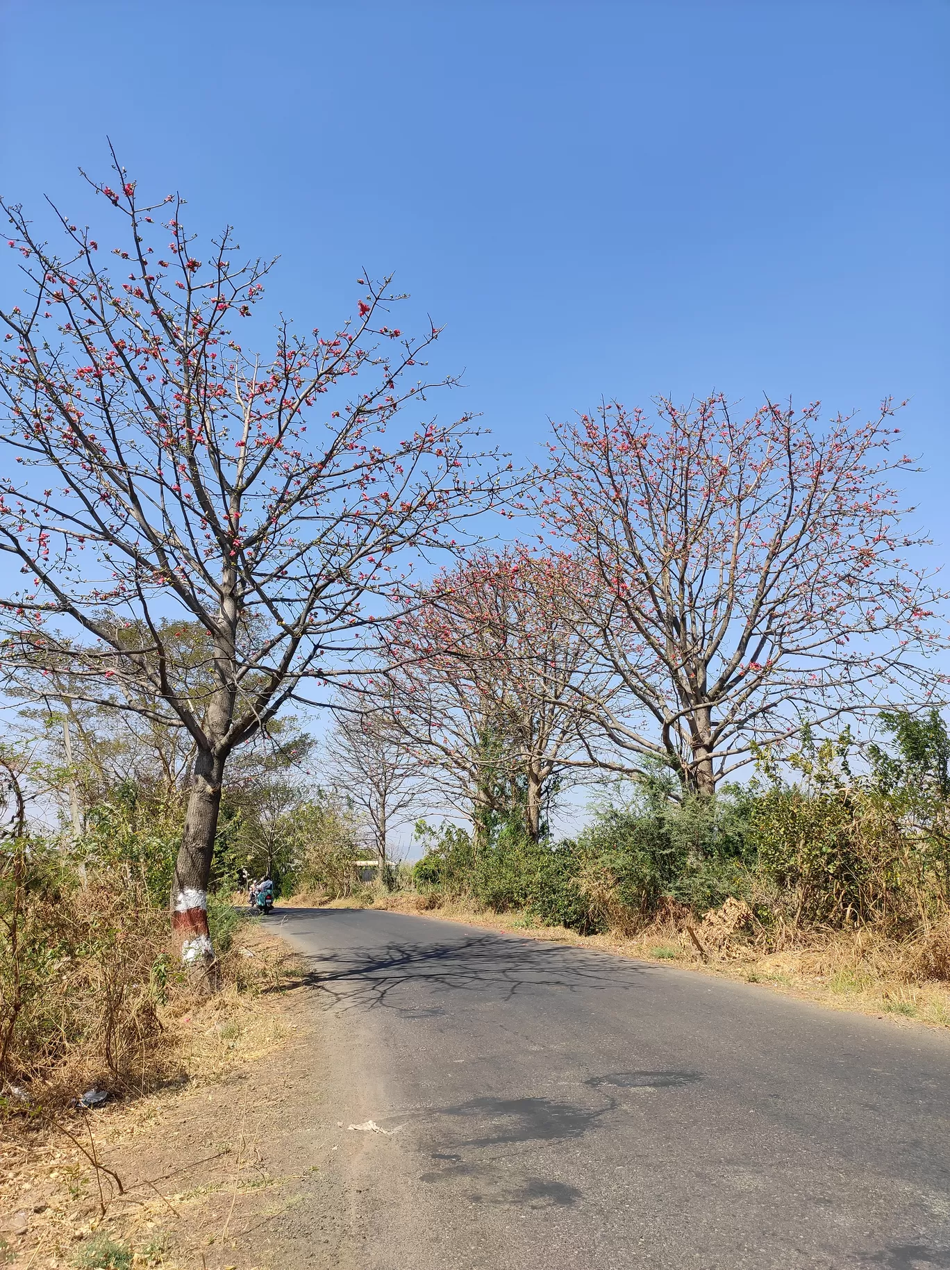 Photo of Pandavgad Fort By AK (The Flying Trekker)