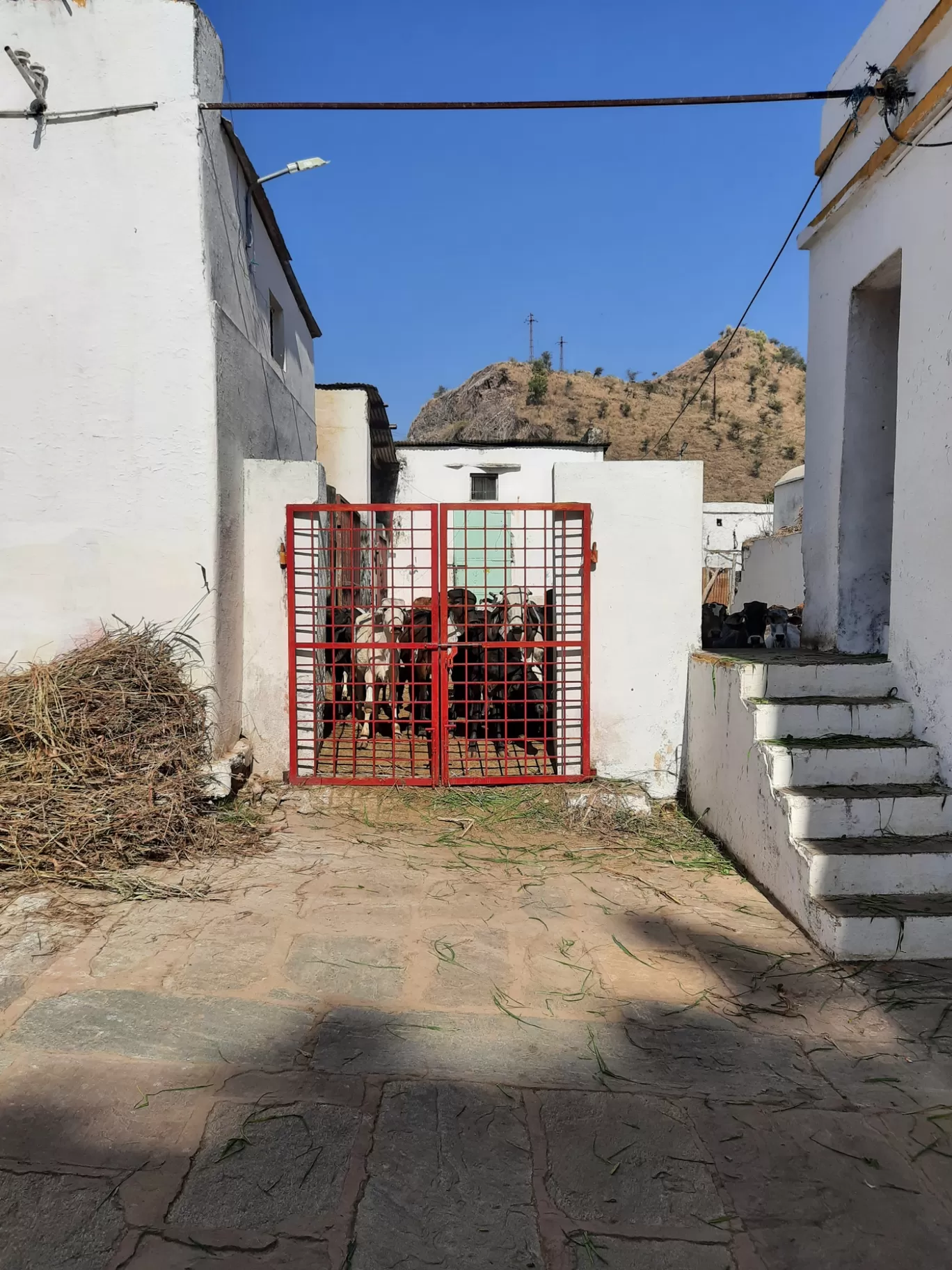 Photo of Ghasiyar Mandir By Pragati Soni