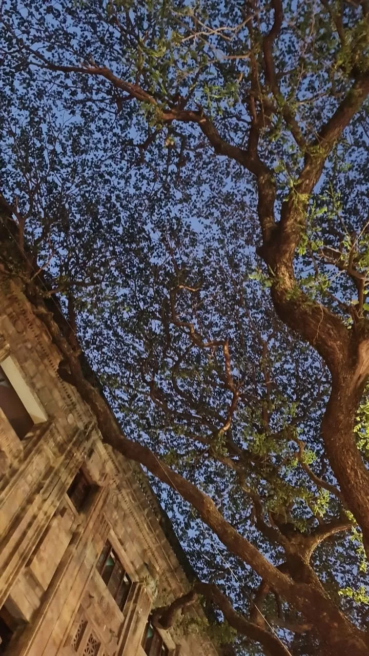 Photo of Gateway Of India By Pragati Soni