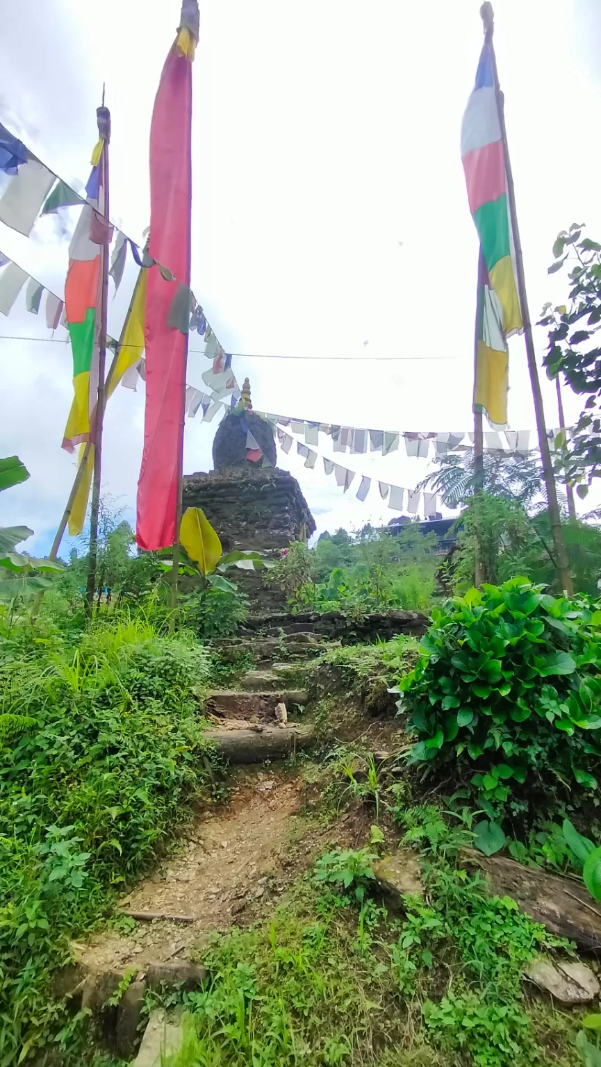 Photo of Sittong By Sukanya Roy 