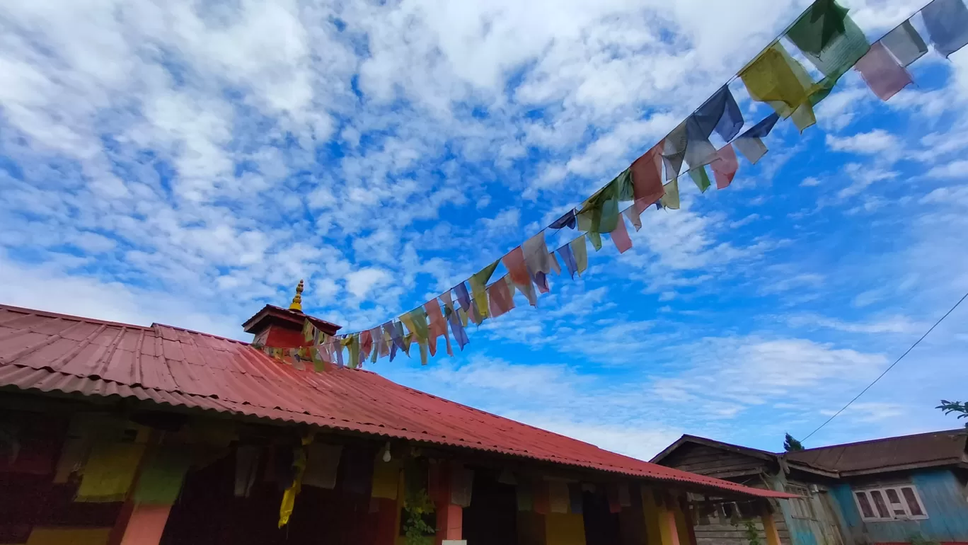 Photo of Sittong By Sukanya Roy 