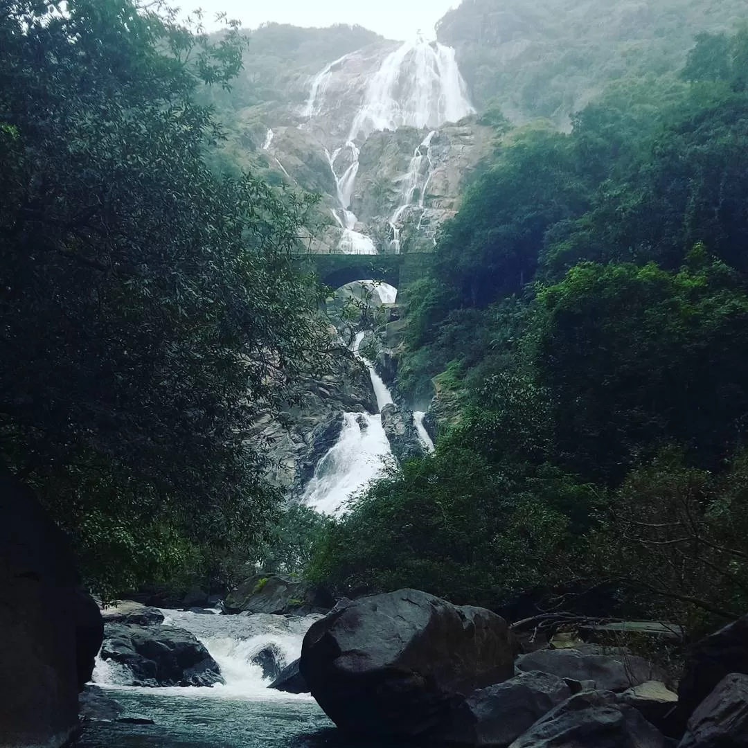 Photo of Dudhsagar Water Falls By Pranav