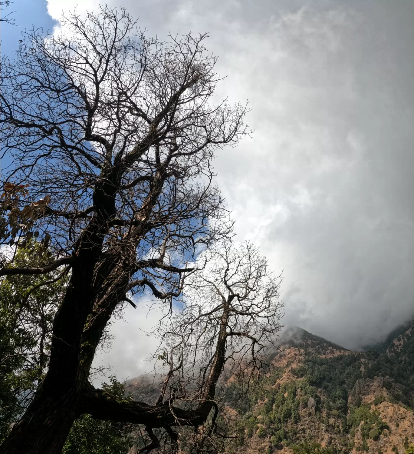 Photo of McLeod Ganj By MANAS DAGA