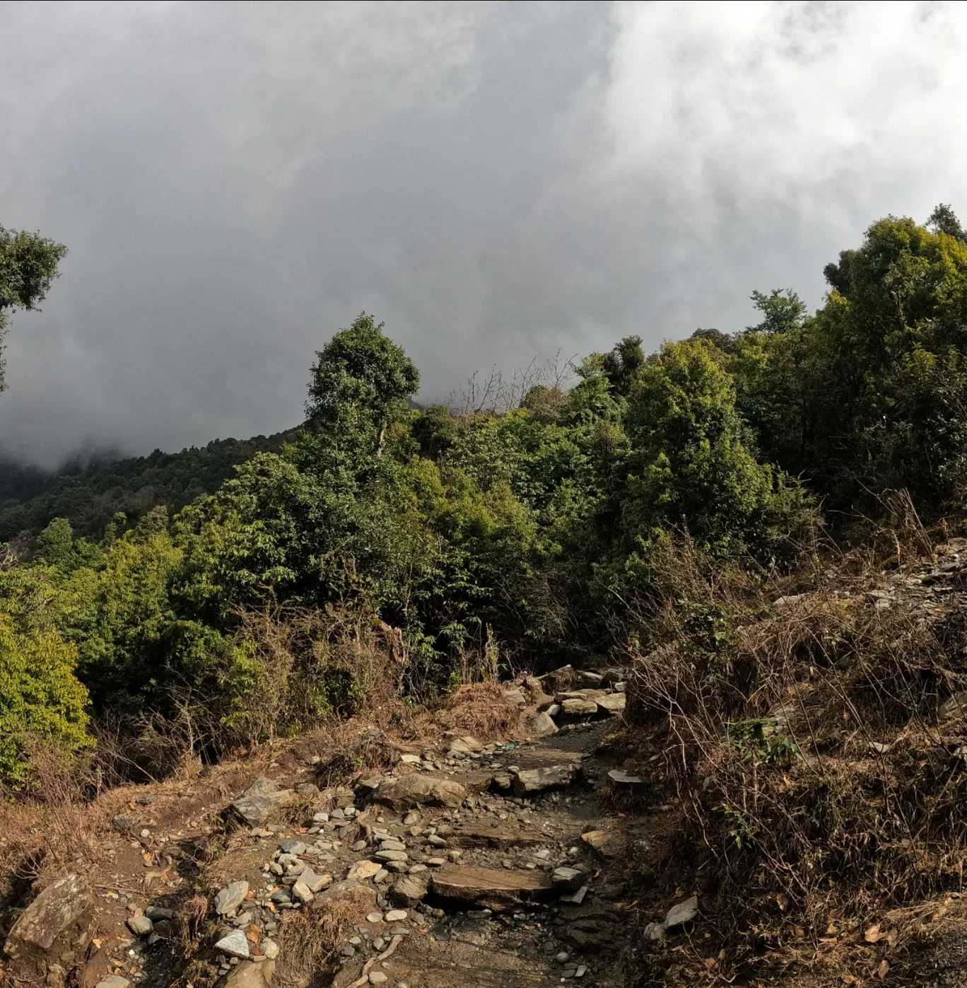 Photo of McLeod Ganj By MANAS DAGA