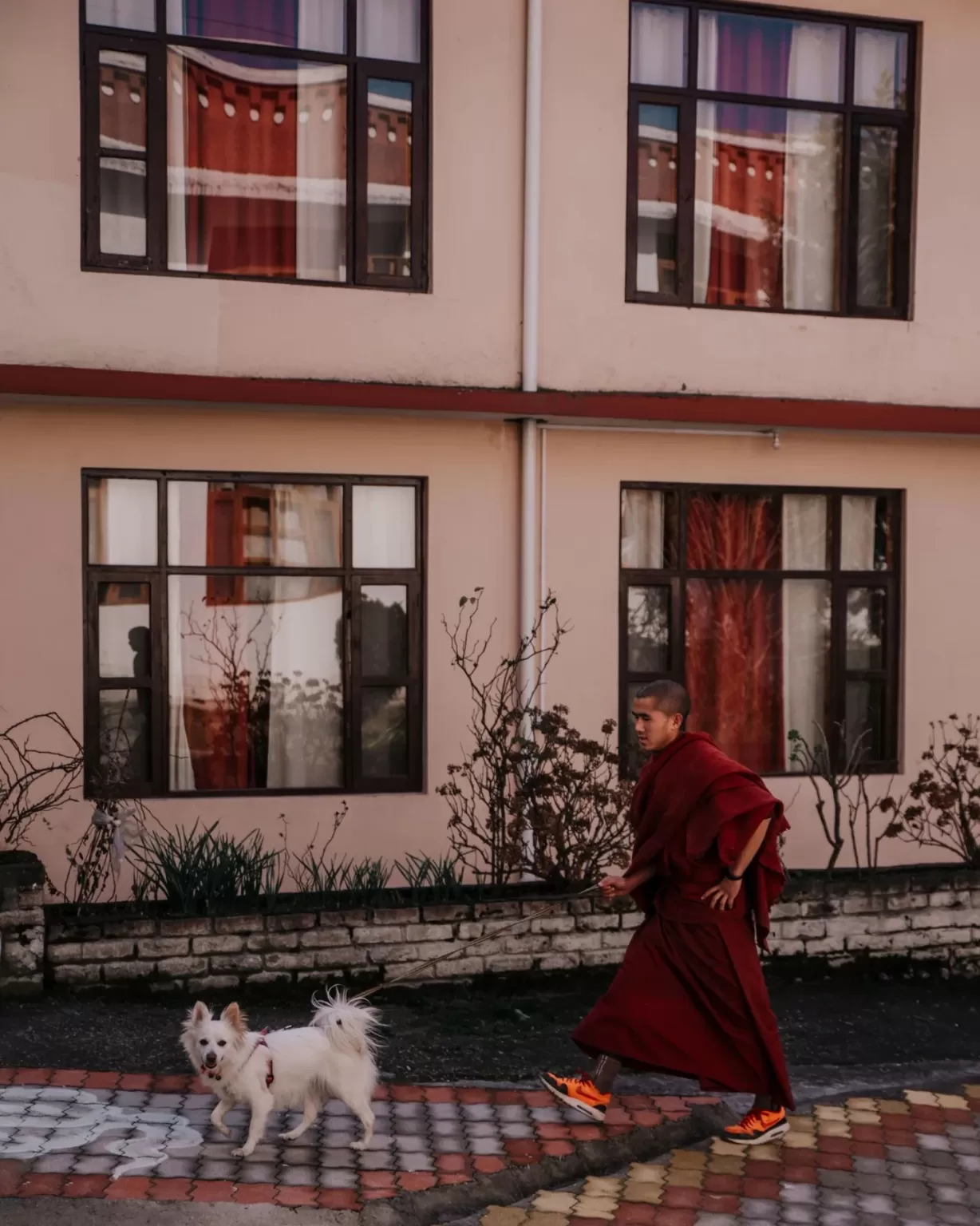 Photo of Dhakpo Shedrupling Monastery By Prakash Sharma