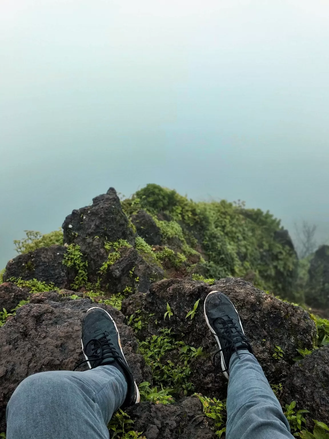 Photo of Kodachadri Hill By Swapnil Sai