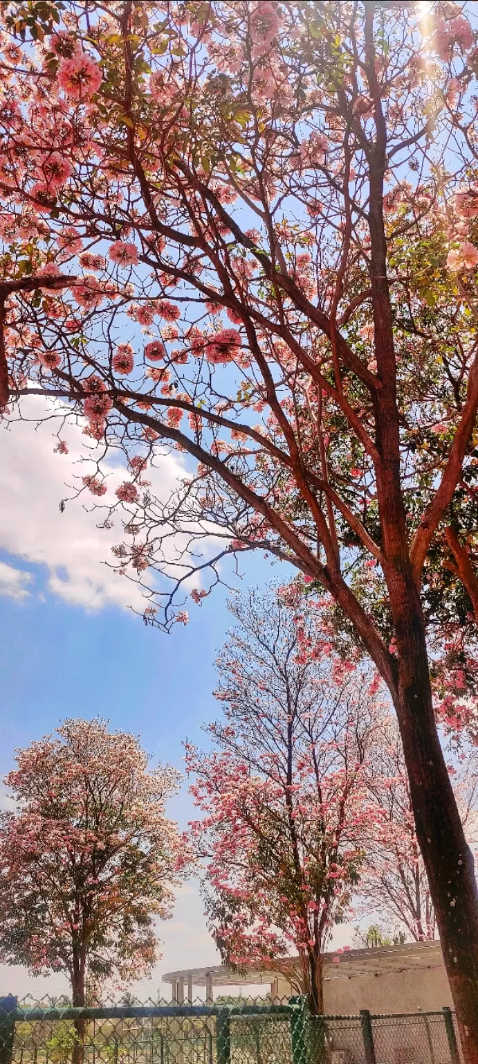 Photo of Bangalore By Janhavi Jadhav