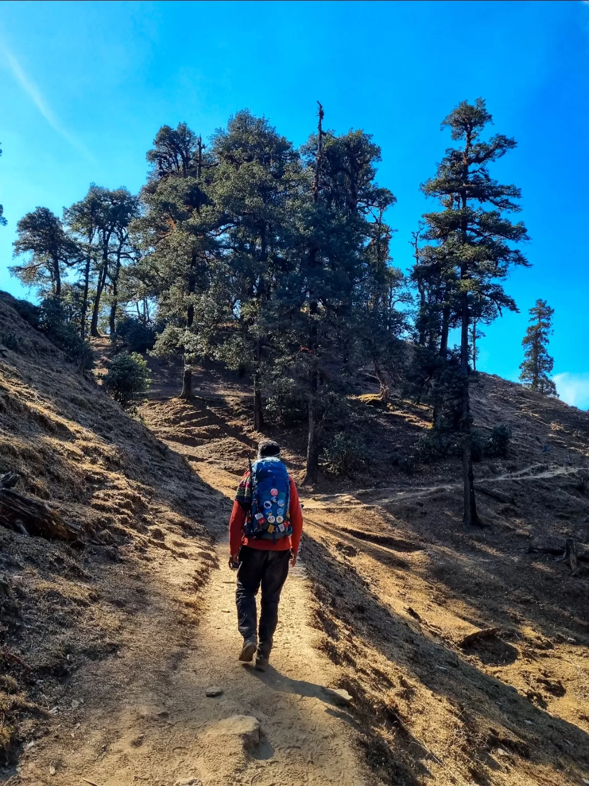 Photo of BrahmaTal Trek By Supratha N