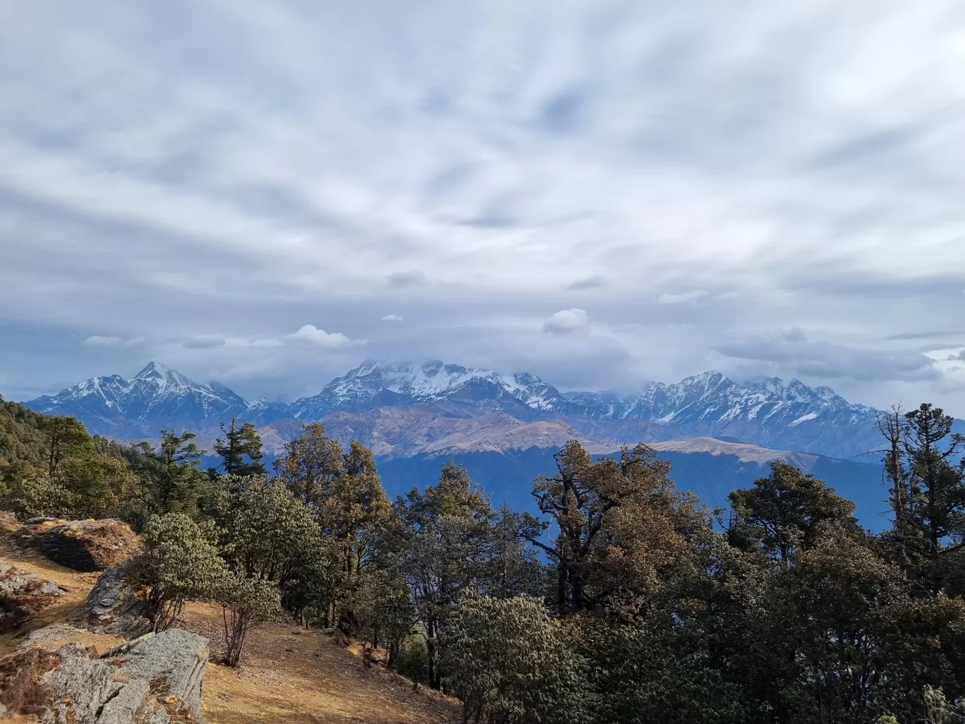 Photo of BrahmaTal Trek By Supratha N