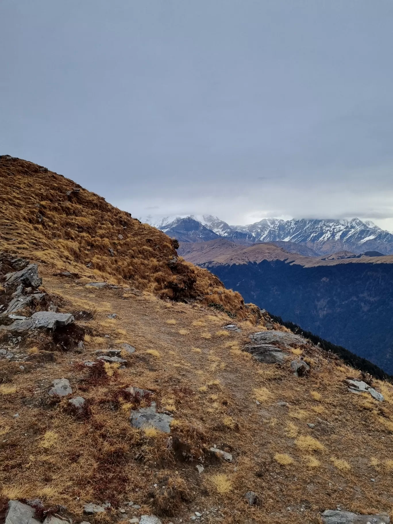 Photo of BrahmaTal Trek By Supratha N