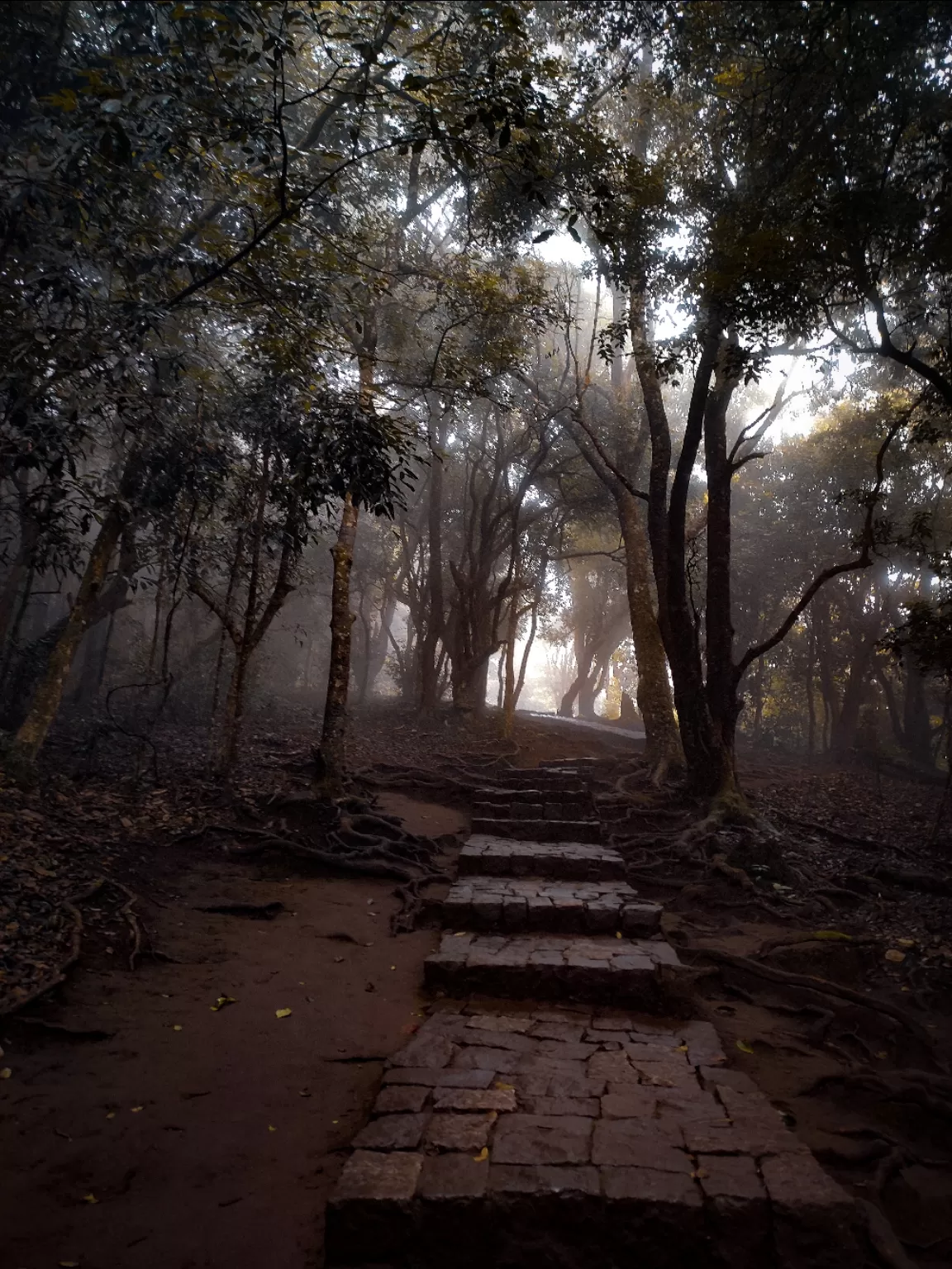 Photo of Ooty By Hakim shaik