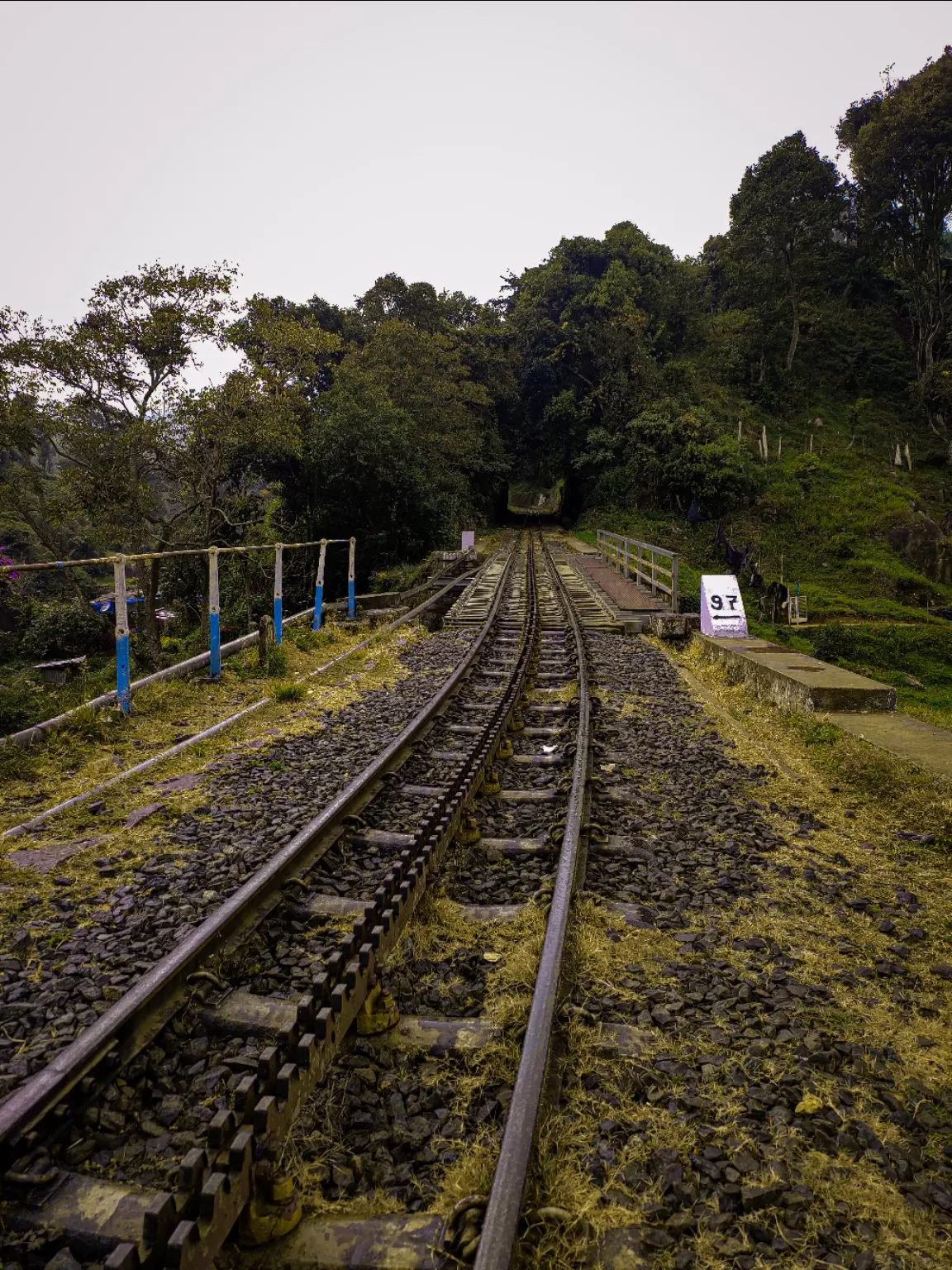 Photo of Ooty By Hakim shaik