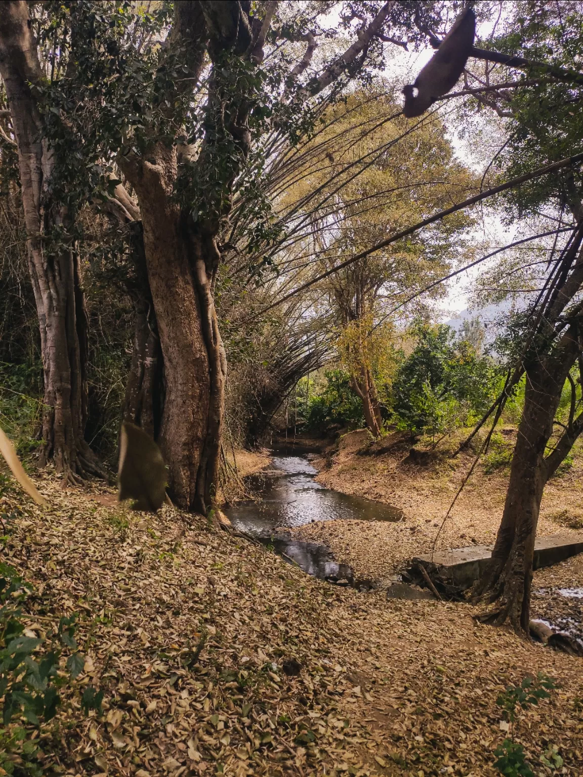 Photo of Ooty By Hakim shaik