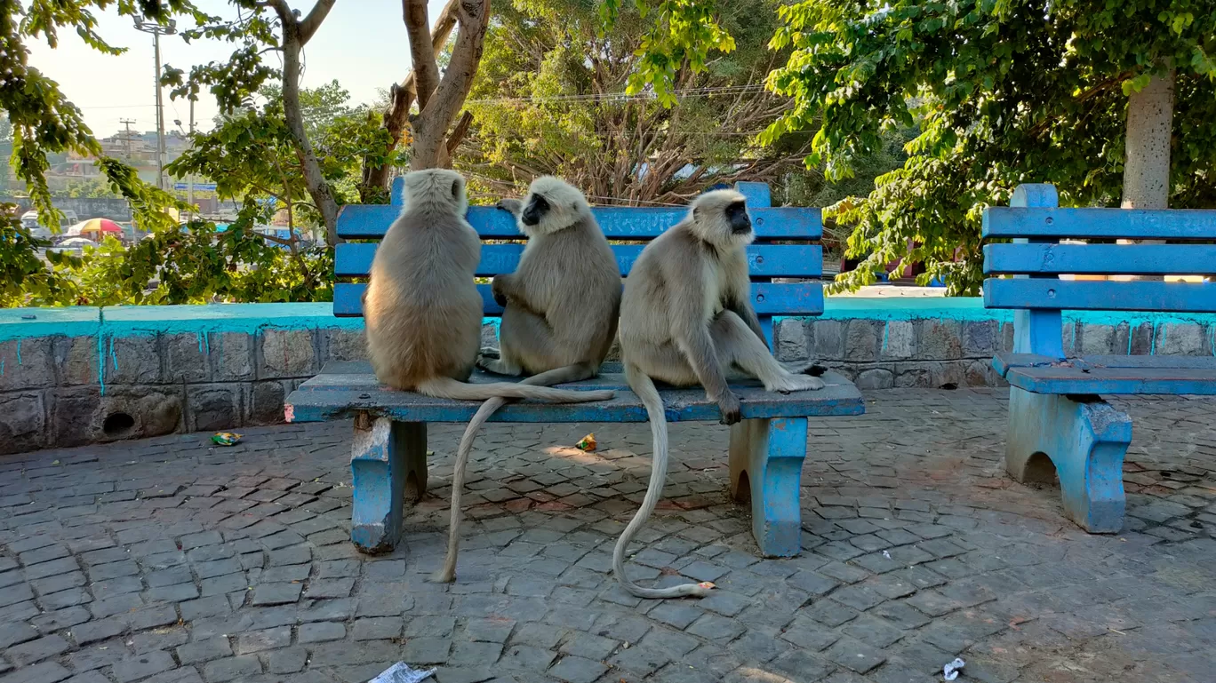 Photo of Rishikesh By Nishant Karjee