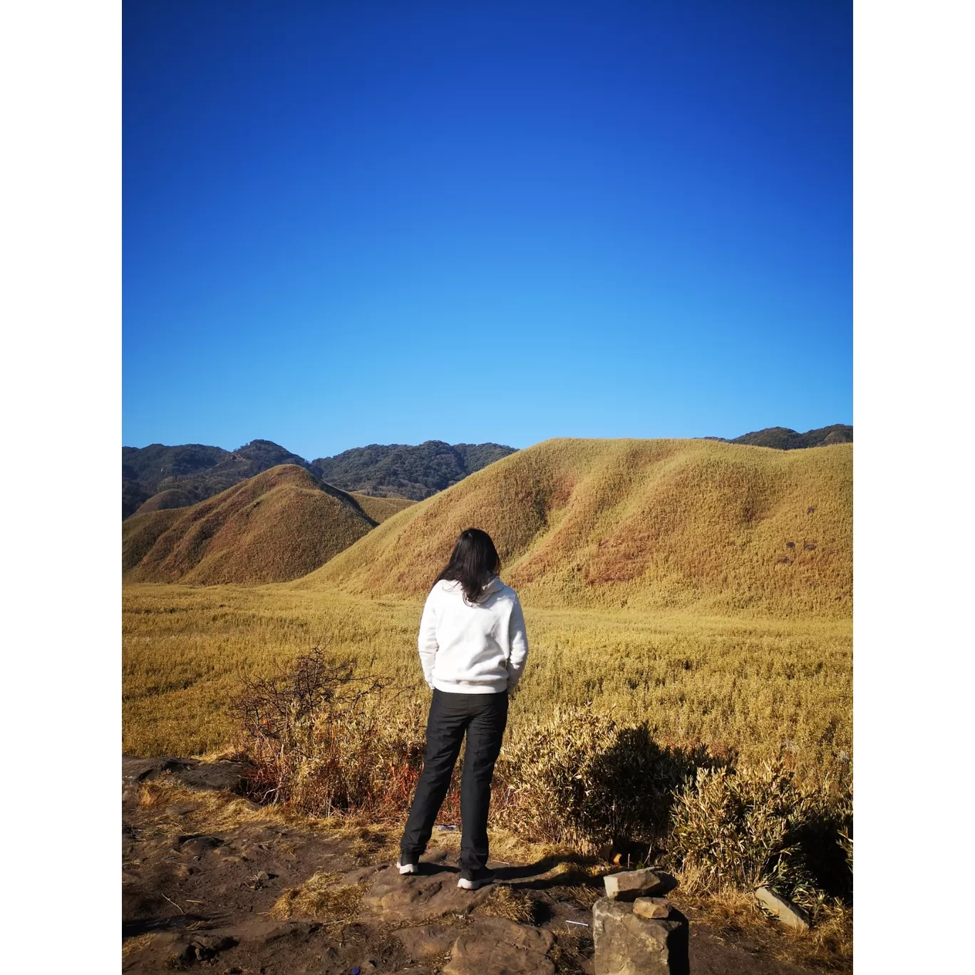 Photo of Dzükou Valley By Sumi Nath
