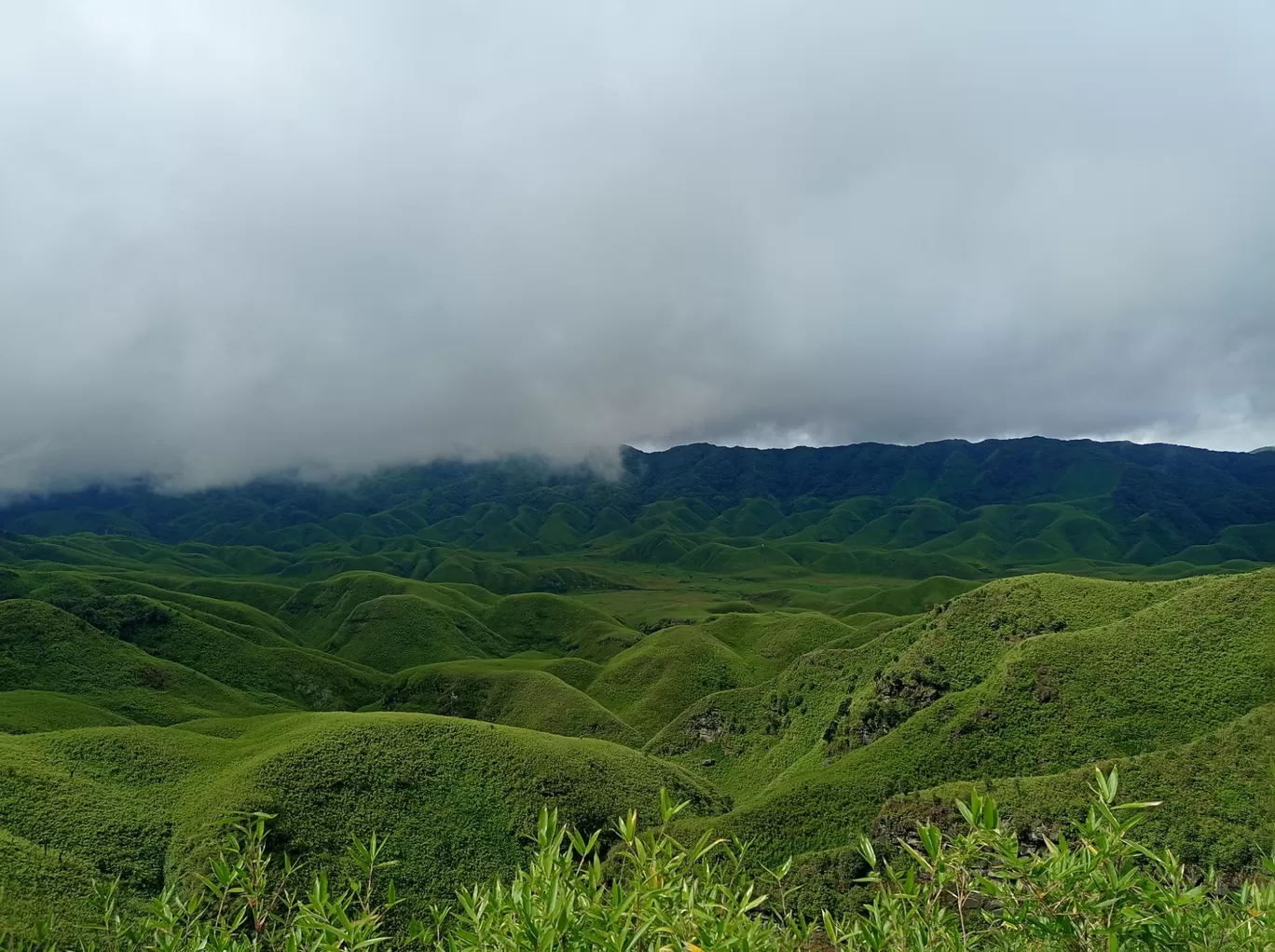 Photo of Dzükou Valley Guest House By Zucho Kikon