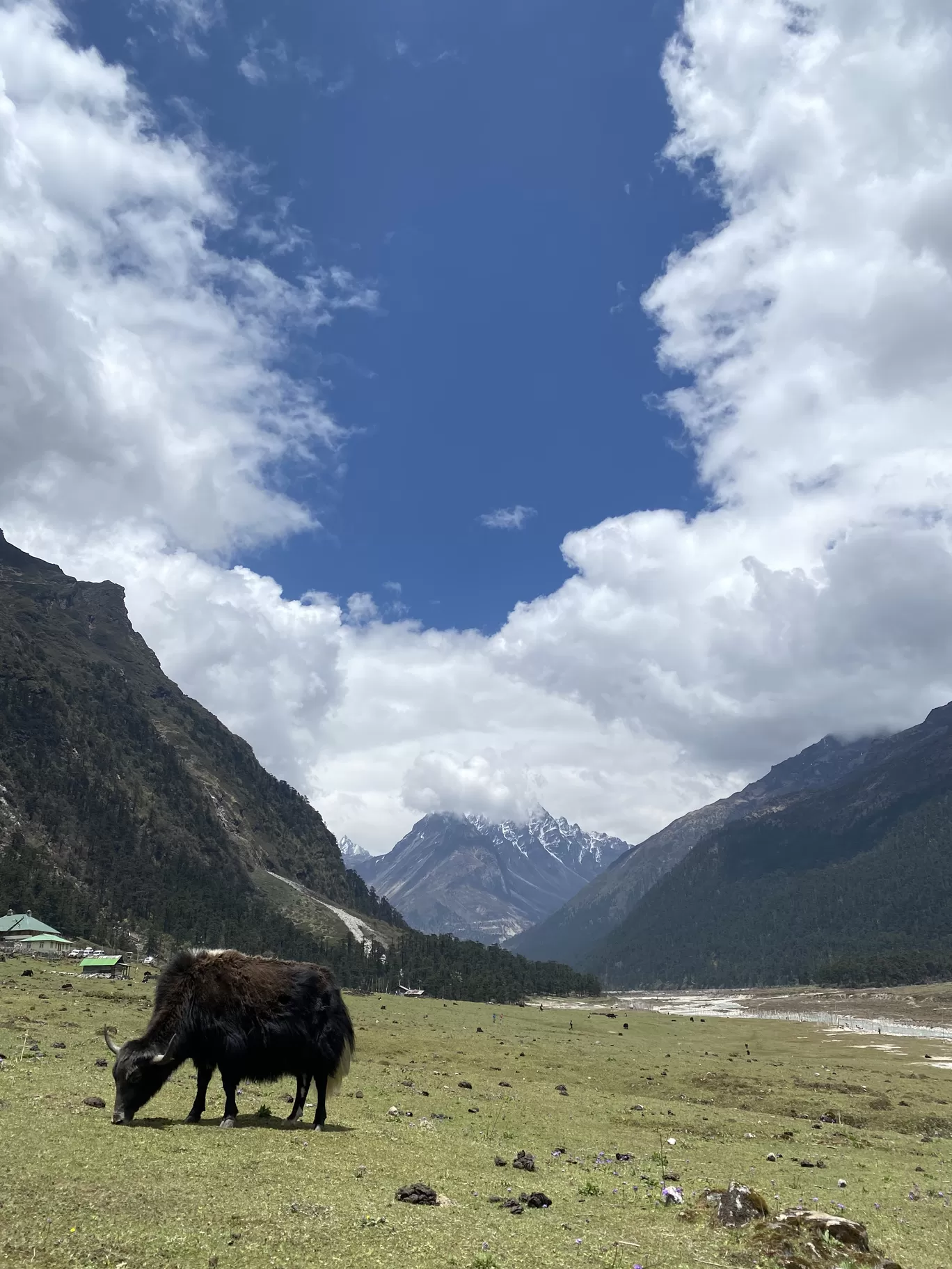 Photo of Sikkim By Anushree Sharma