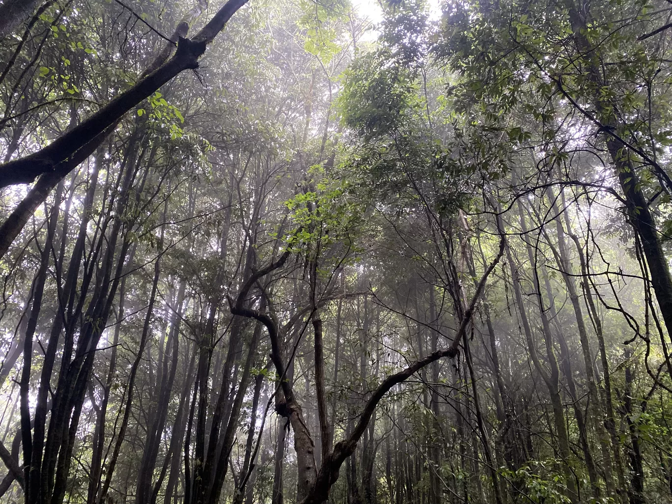 Photo of Sikkim By Anushree Sharma