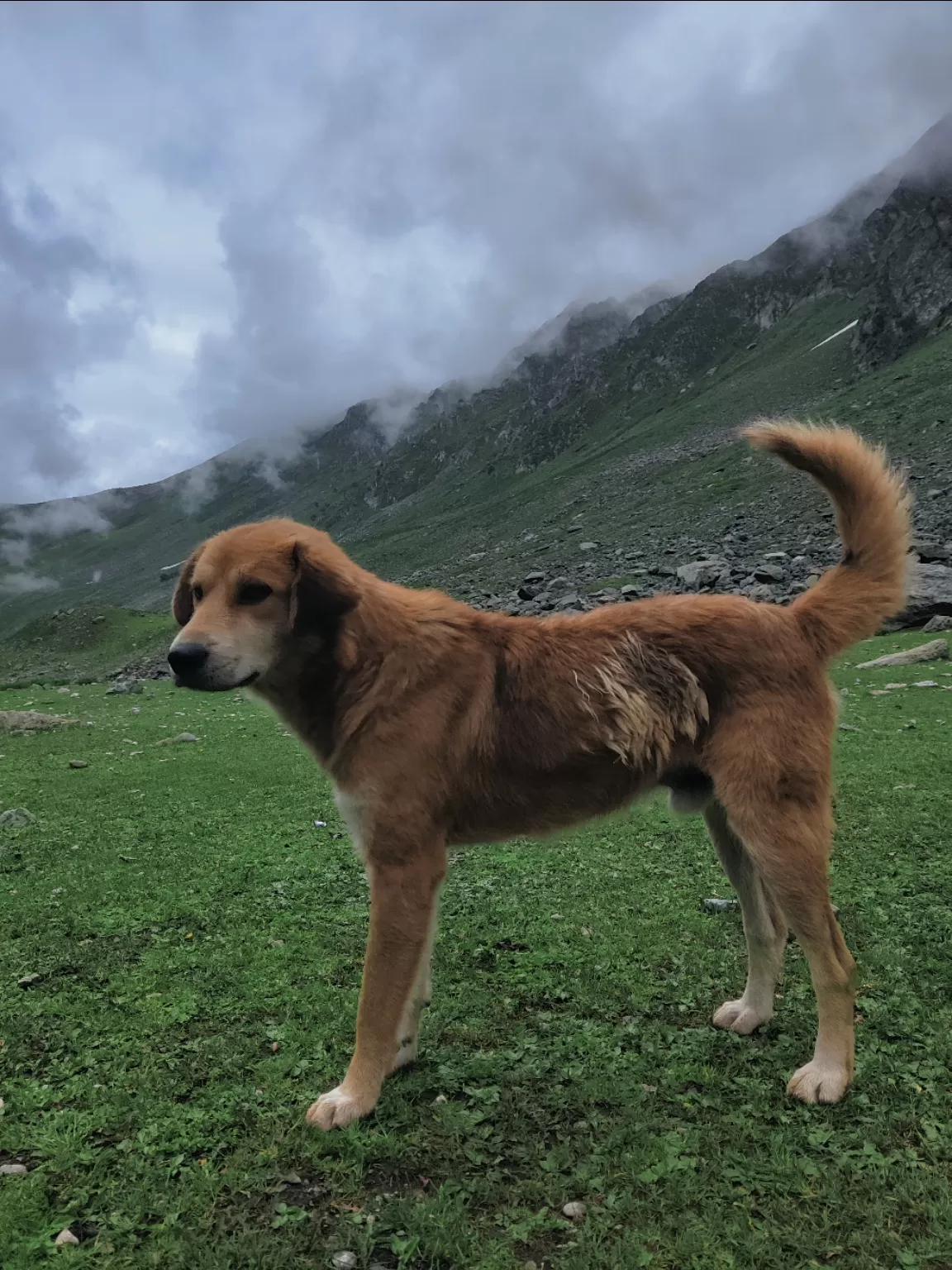 Photo of Kashmir Great Lakes Trek By Prashanth basavareedy