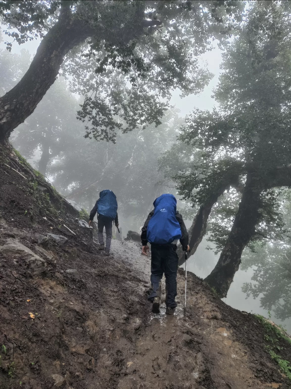 Photo of Kashmir Great Lakes Trek By Prashanth basavareedy