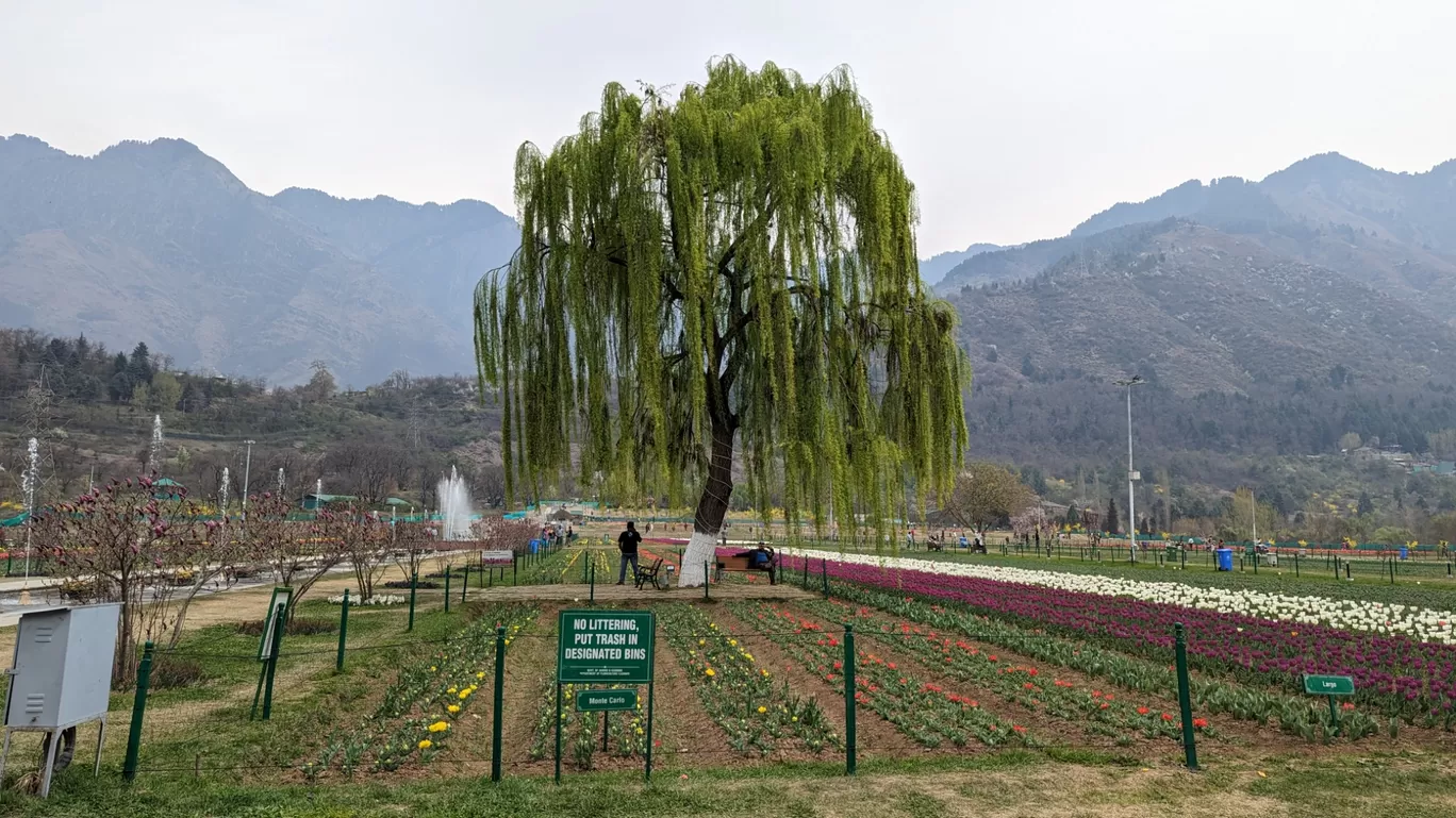 Photo of Srinagar By shiva kumar Racherla