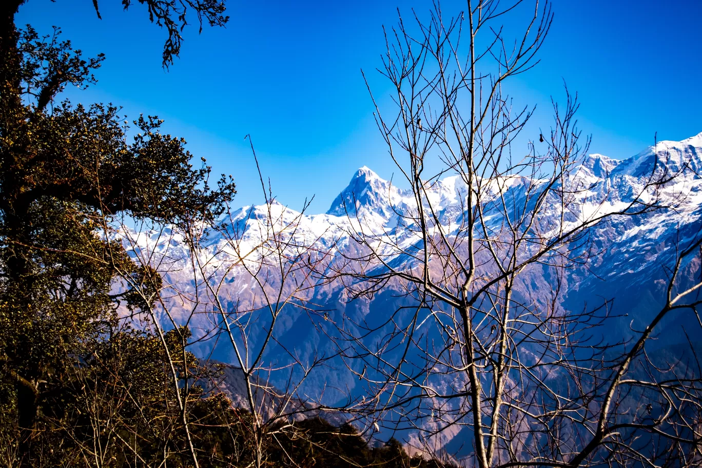 Photo of Dayara Bugyal By kamrankhan112