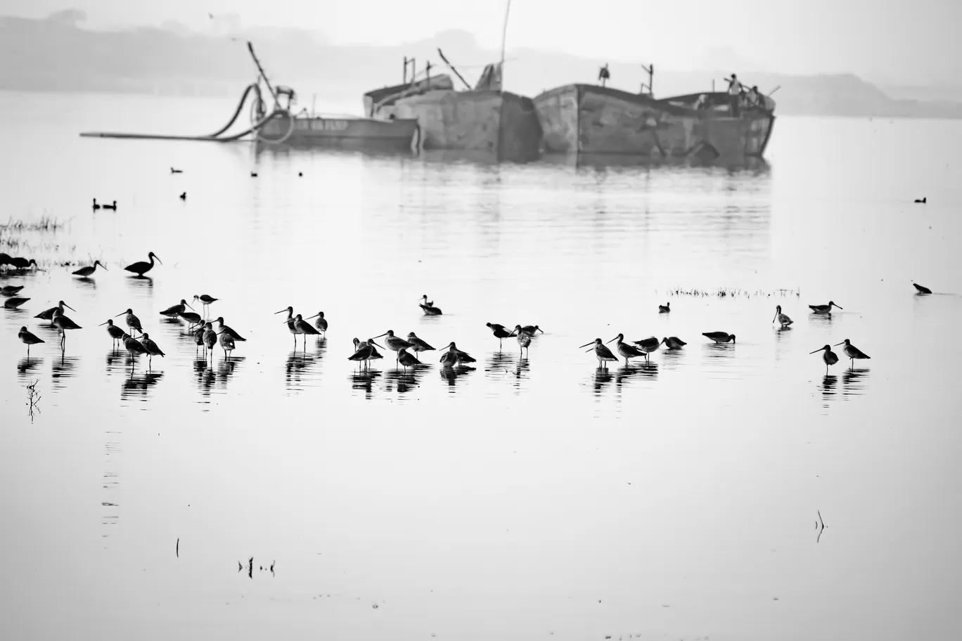 Photo of Bhigwan Bird Sanctuary By kamrankhan112