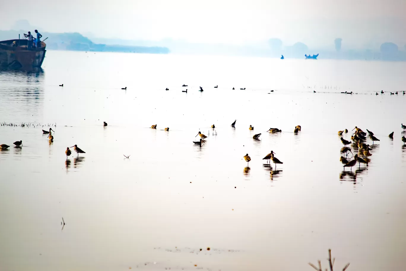 Photo of Bhigwan Bird Sanctuary By kamrankhan112