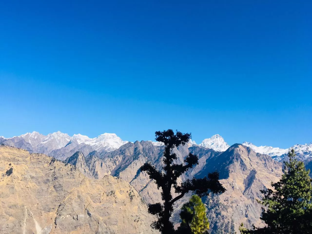 Photo of Auli Laga Joshimath By Naina Thapa