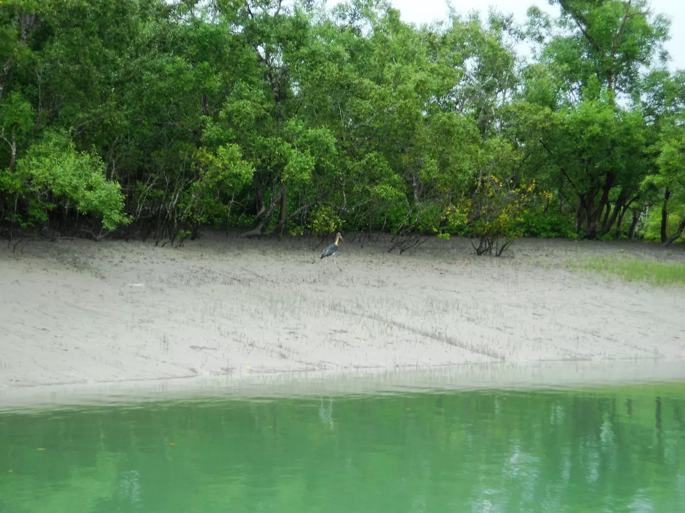 Photo of Sundarban Travel By Ratul Sengupta