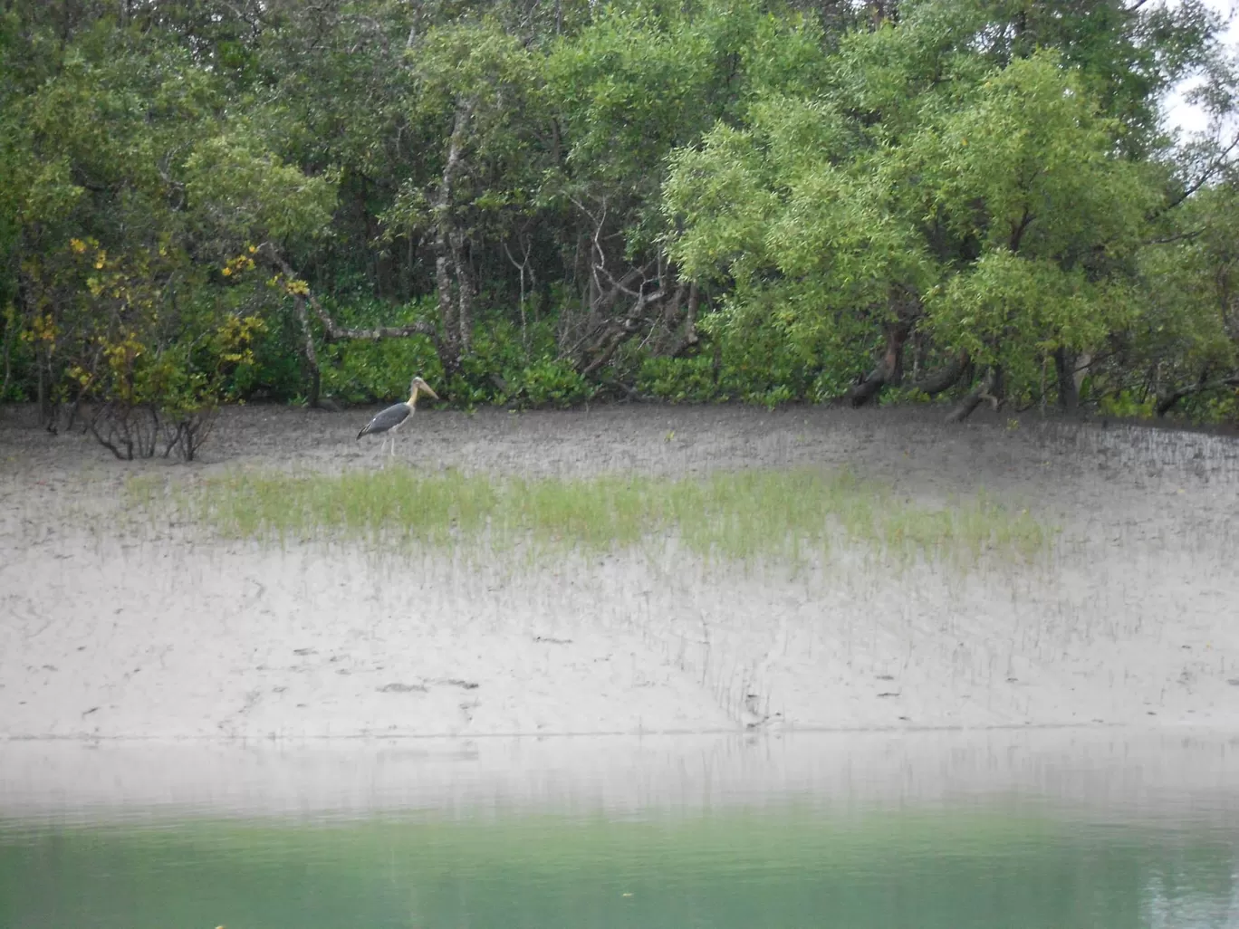 Photo of Sundarban Travel By Ratul Sengupta