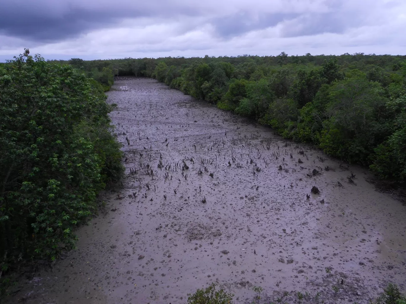 Photo of Sundarban Travel By Ratul Sengupta