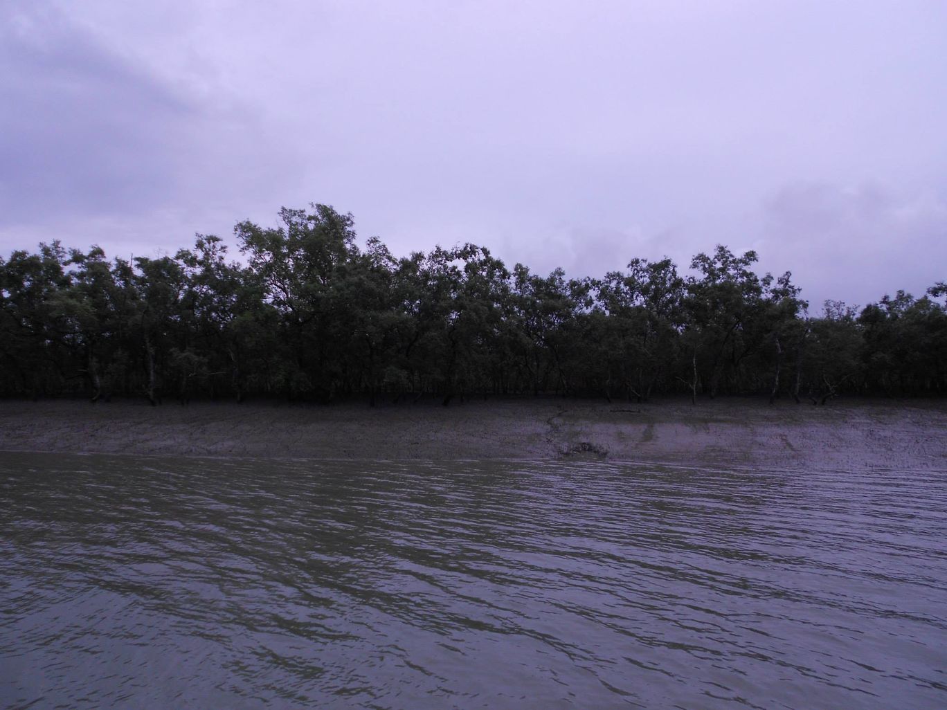 Photo of Sundarban trip. By Ratul Sengupta