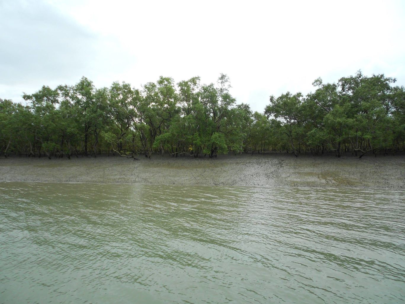 Photo of Sundarban trip. By Ratul Sengupta