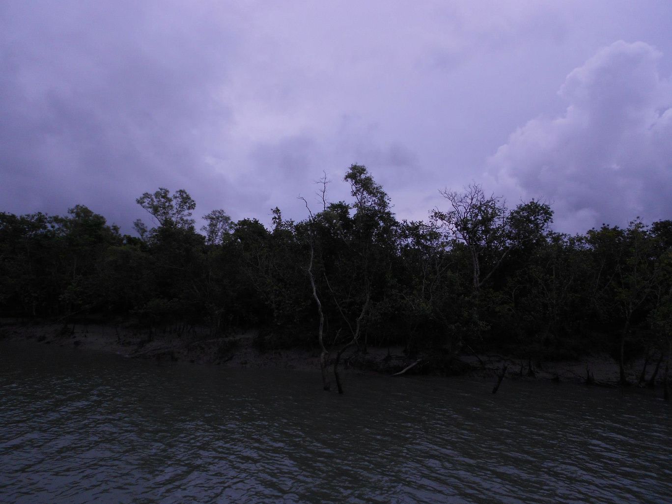 Photo of Sundarban trip. By Ratul Sengupta